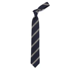 Cesare Attolini Archivio Storico: Tie "Striscia Di Shantung" In Pure Silk - Handrolled
