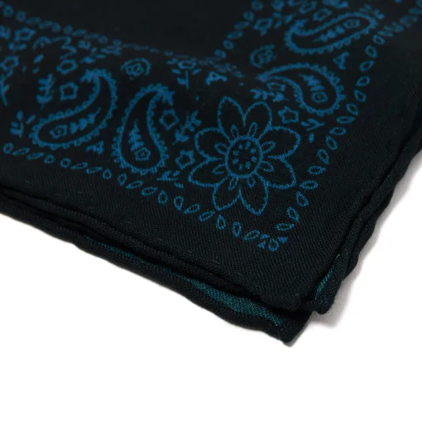 Cesare Attolini Pure Wool Pocket Square "Reni E Paisley