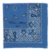 Cesare Attolini Reni E Paisley Pocket Square Made Of Pure Wool